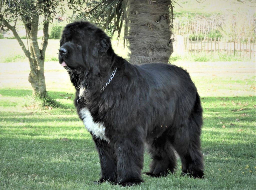 Des Flots D'Hisse Et Eau - naissances prévues fin novembre 